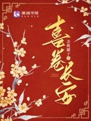 喜卷长安 喜卷长安