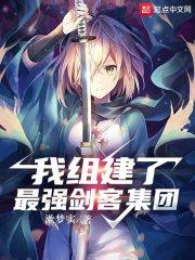 我组建了最强剑客集团 我组建了最强剑客集团